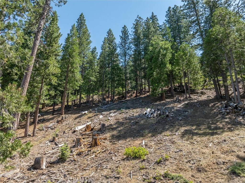 Yosemite, CA 95389,7343 Yosemite Park WAY