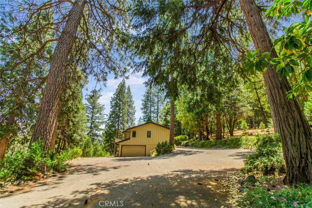 Pioneer, CA 95666,16200 Pinewood DR