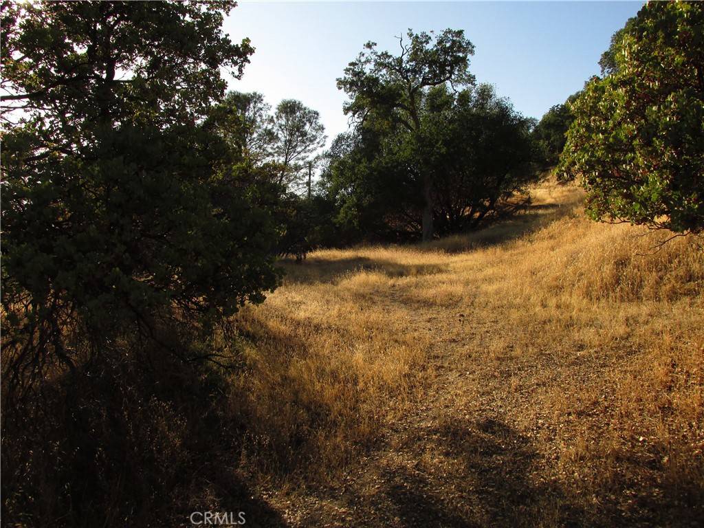 North Fork, CA 93643,2 Ac Old Oaks CT