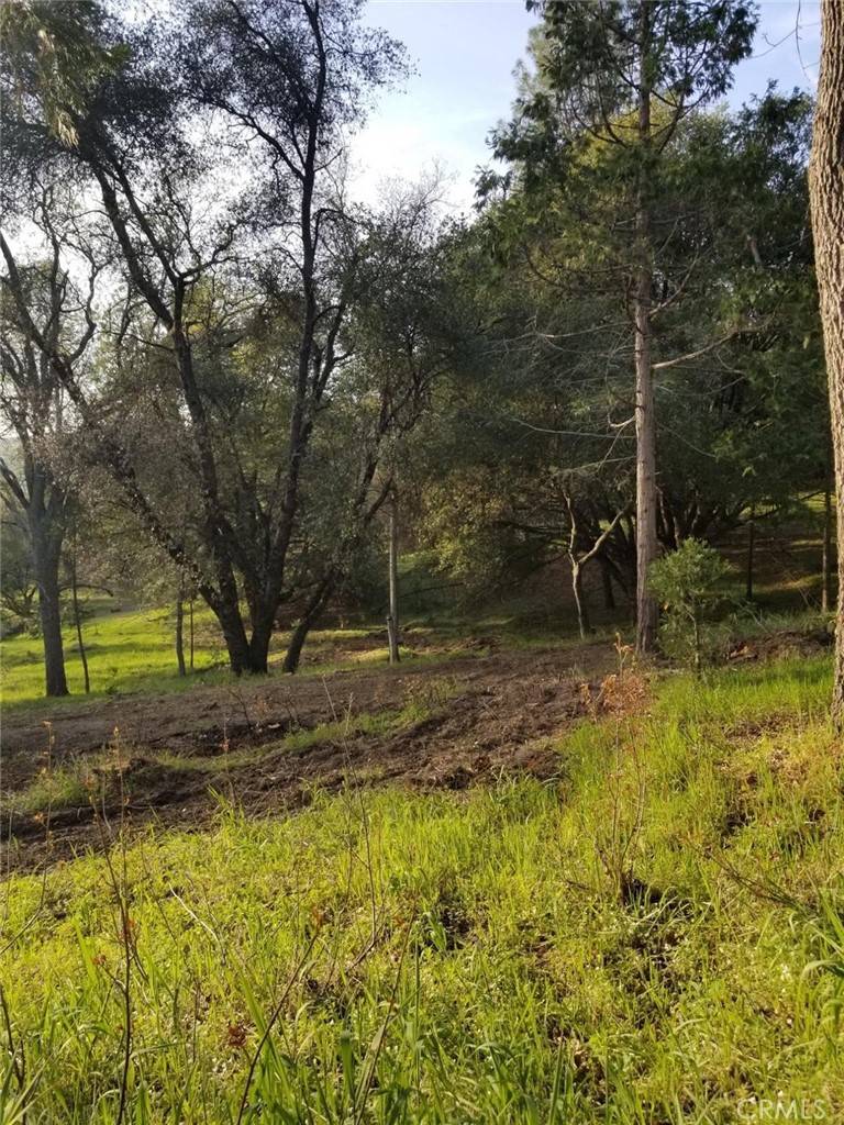 Oakhurst, CA 93644,1 Oak LN
