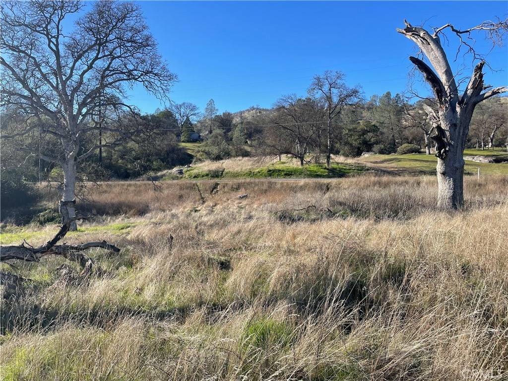Coarsegold, CA 93614,741 lot Long Hollow DR