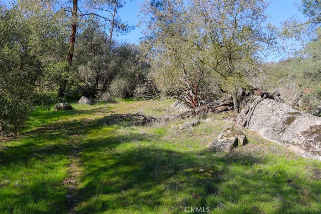 Coarsegold, CA 93614,0 6.48 AC Long Hollow DR