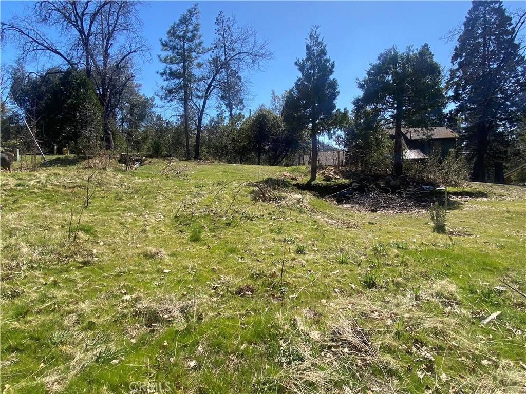 North Fork, CA 93643,0 S Cascadel DR S