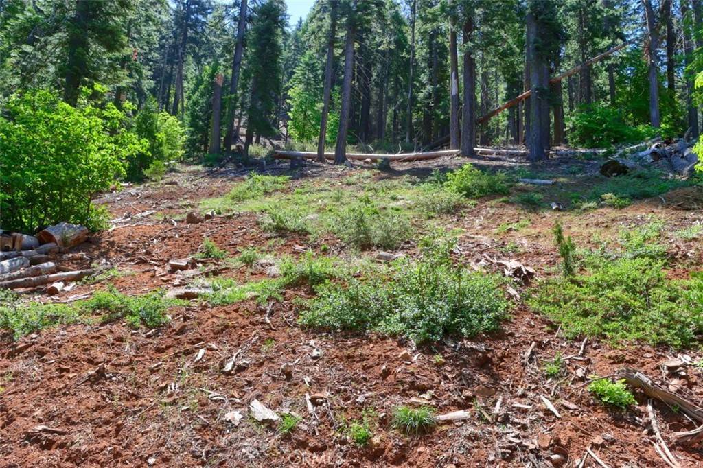 Yosemite, CA 95389,7420 Henness Ridge RD