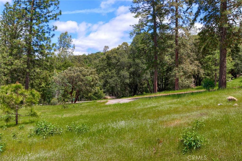 Oakhurst, CA 93644,8 Lot Timberwood LN