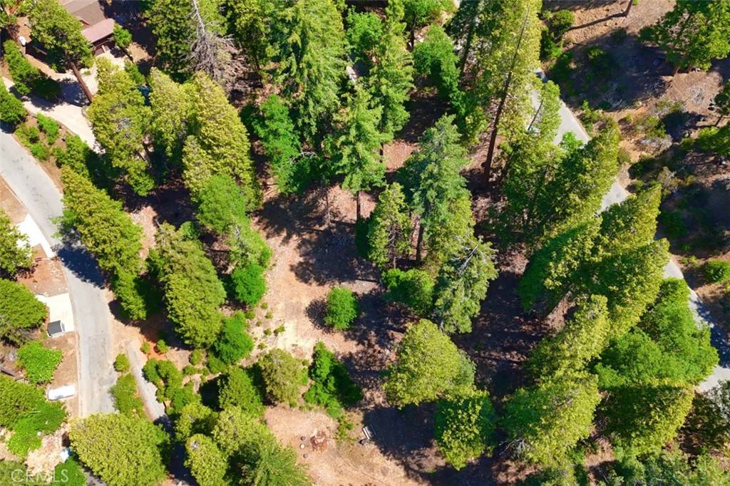 Yosemite, CA 95389,7220 Yosemite Park WAY