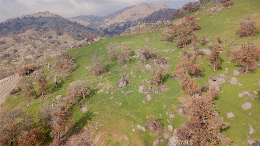 Squaw Valley, CA 93675,0 Pepperweed