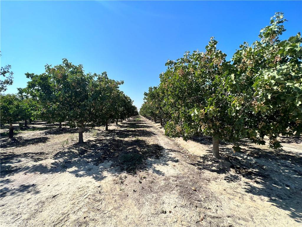 Alpaugh, CA 93215,10975 Avenue 16