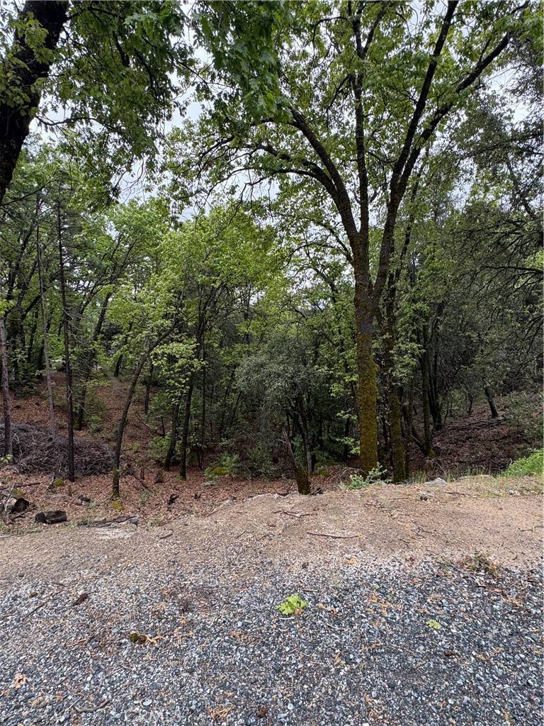 Sonora, CA 95370,0 Wildcat Ridge RD
