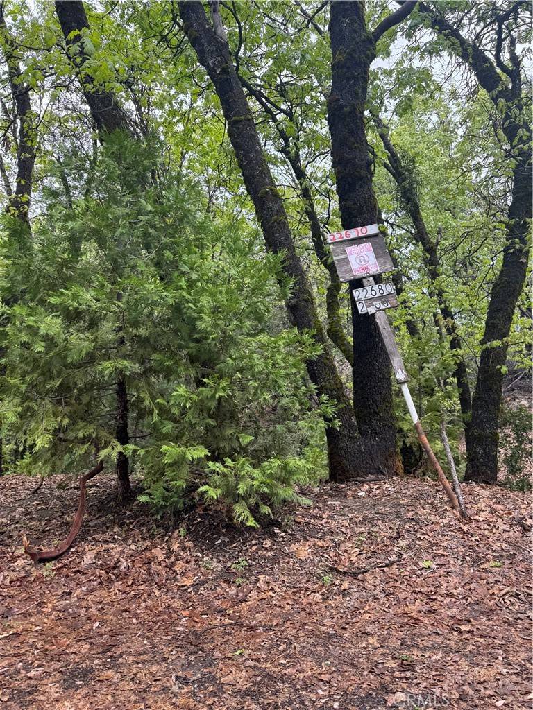 Sonora, CA 95370,0 Wildcat Ridge RD