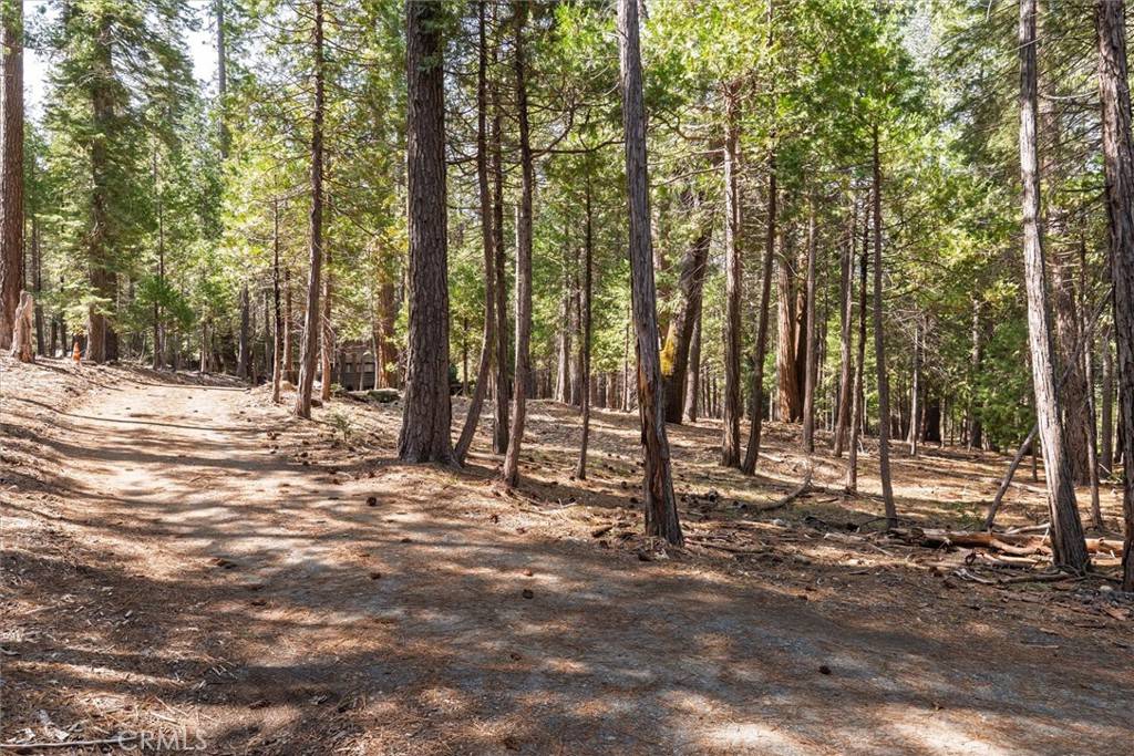 Wawona, CA 95389,1 Koon Hollar