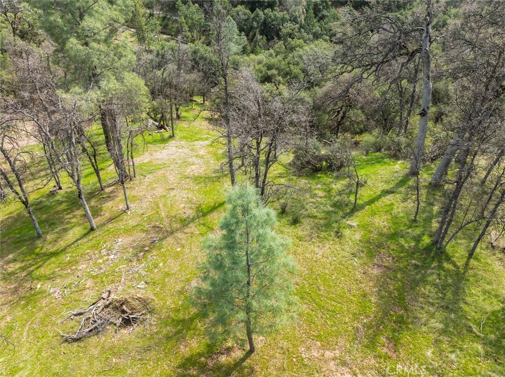 Oakhurst, CA 93644,0 Springwood CT