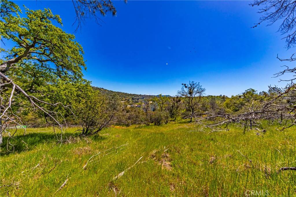 Coarsegold, CA 93614,1 Jim Bowie CT