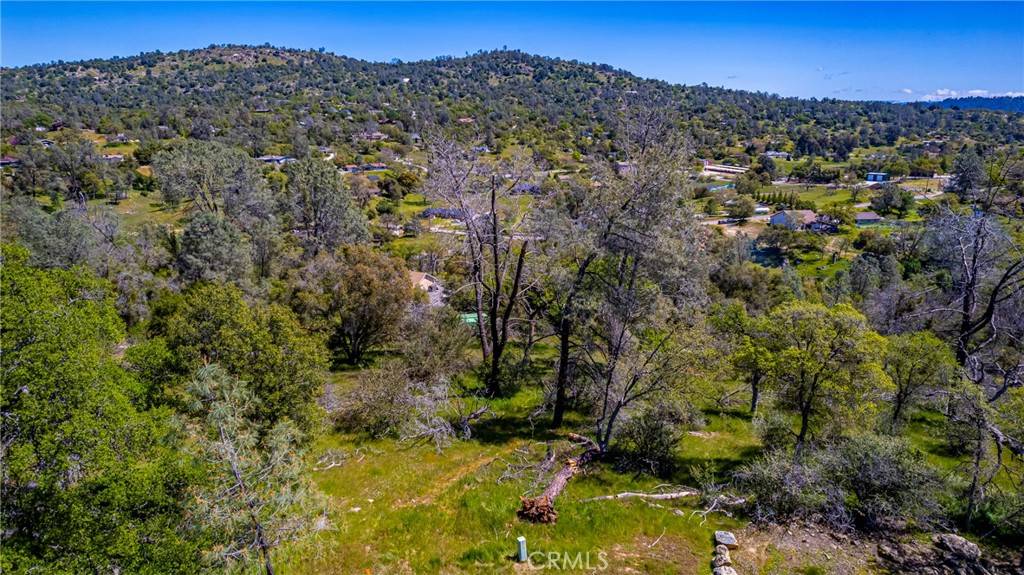 Coarsegold, CA 93614,1 Jim Bowie CT