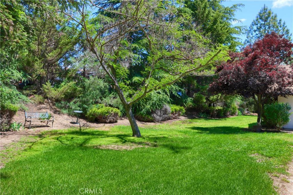 Ahwahnee, CA 93601,42177 Lone Olive LN