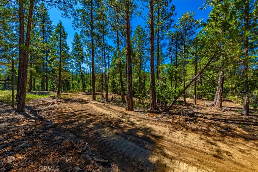 Wawona, CA 95389,0 River ST