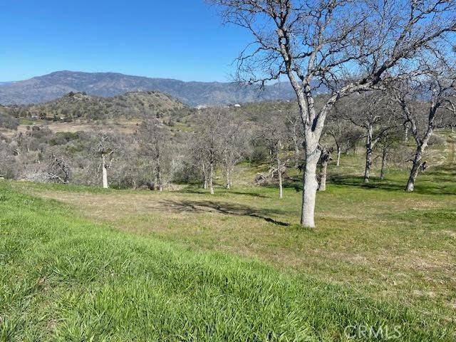 Squaw Valley, CA 93675,0 APN 190-160-05S