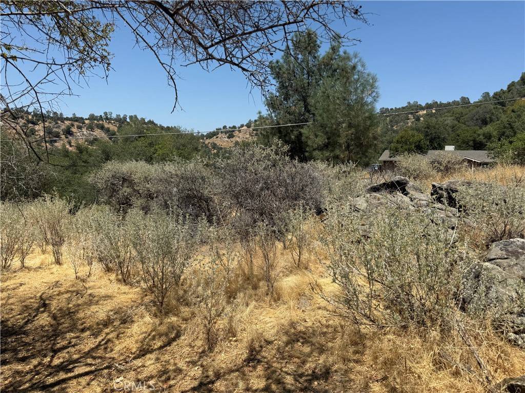 Coarsegold, CA 93614,1 N Dome DR