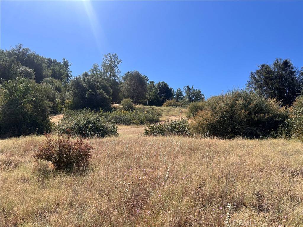 Ahwahnee, CA 93601,16 Lulniu