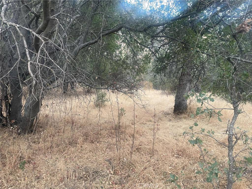 Ahwahnee, CA 93601,43020 Apache Ranch RD