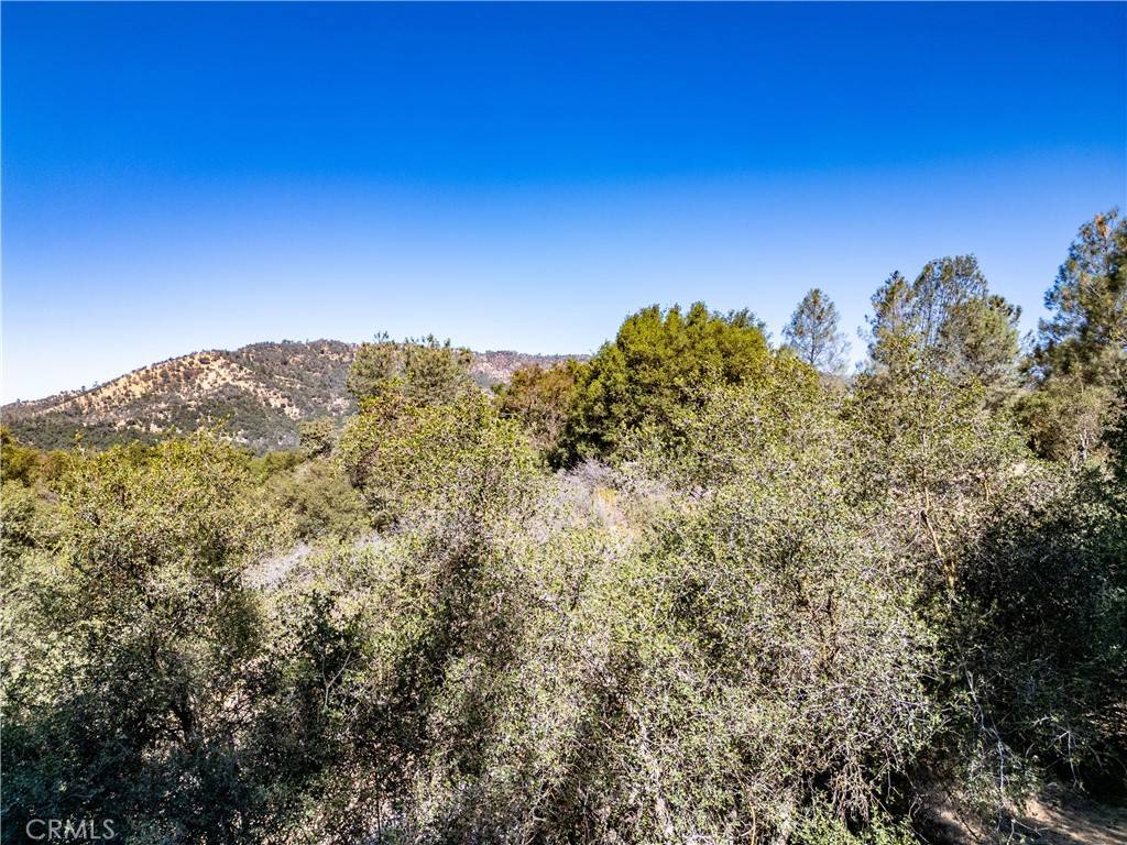Ahwahnee, CA 93601,41902 Woodward Way
