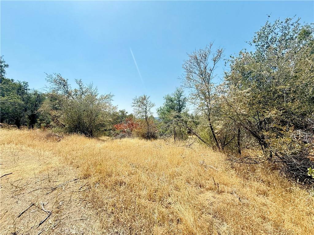 North Fork, CA 93643,1 Rainbow Dr