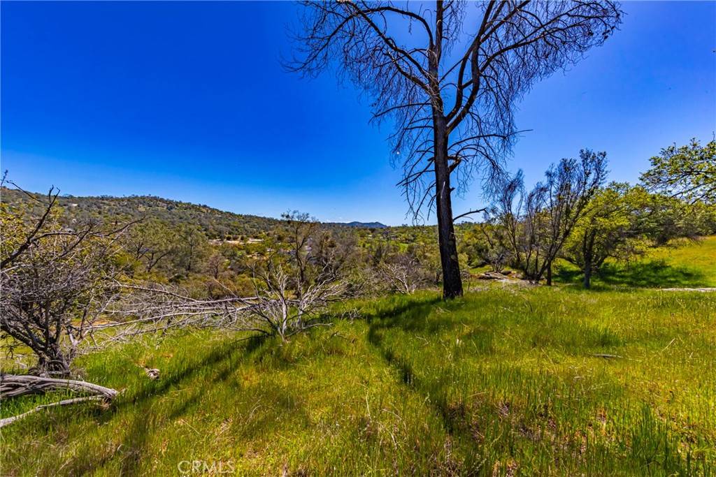 Coarsegold, CA 93614,1 Jim Bowie CT