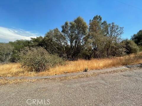 Coarsegold, CA 93614,123 Jennifer WAY