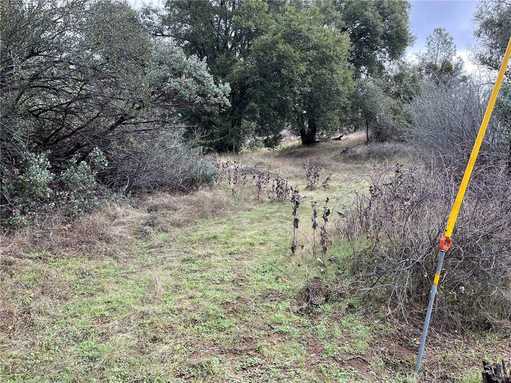 Oakhurst, CA 93644,0 Jean RD E