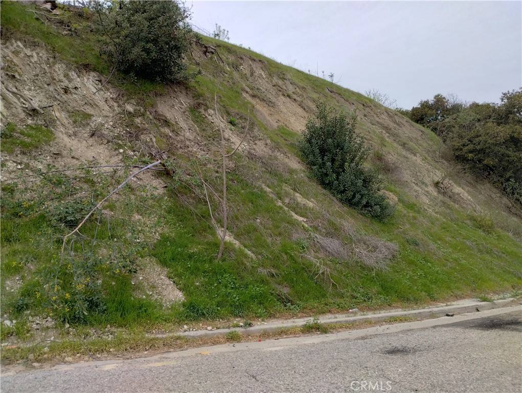 Los Angeles, CA 90032,2821 N Adkins AVE
