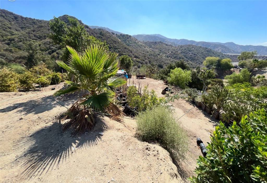 Tujunga, CA 91042,9344 Reverie