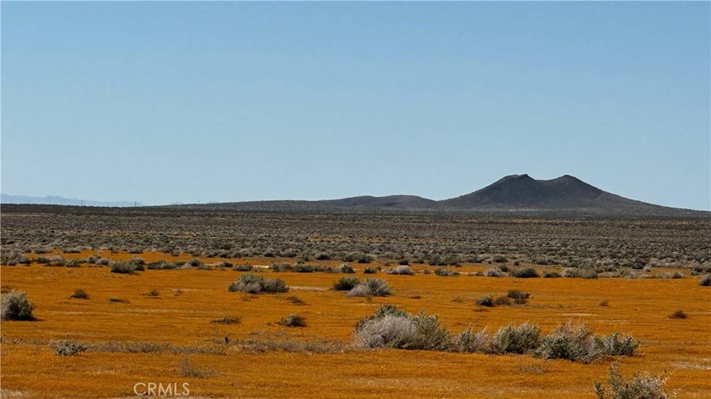 Kramer Junction, CA 93516,5112 Hwy 395