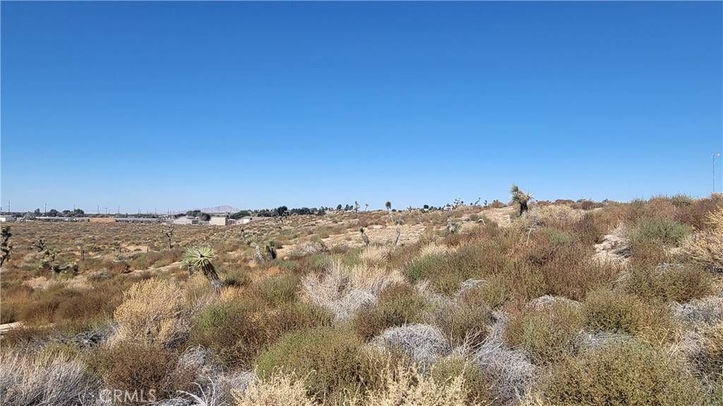 Apple Valley, CA 92308,0 Near Mockingbird Ave 0438-012-31