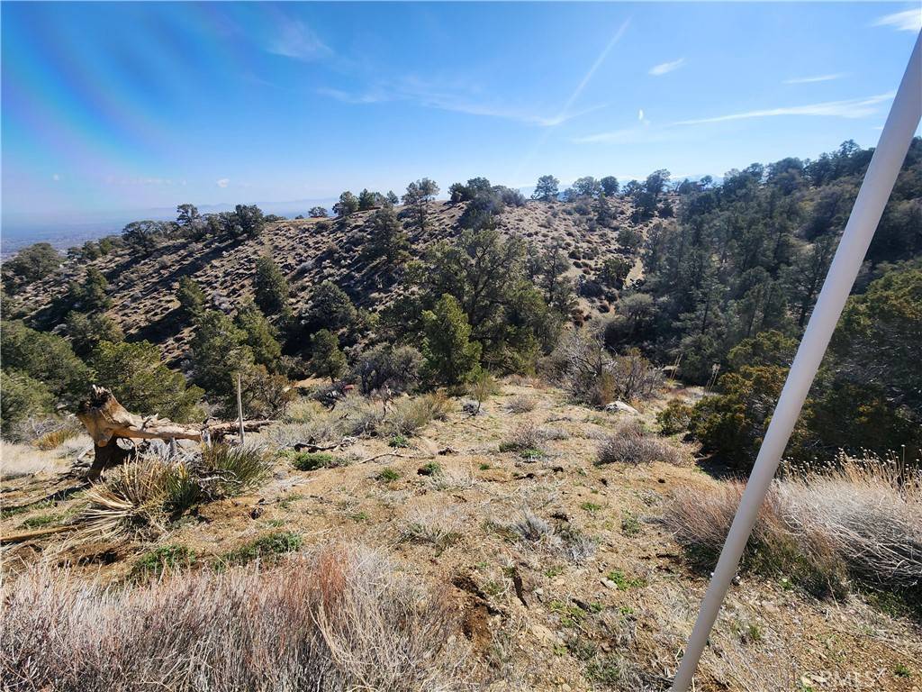 Wrightwood, CA 92397,0 Scenic DR