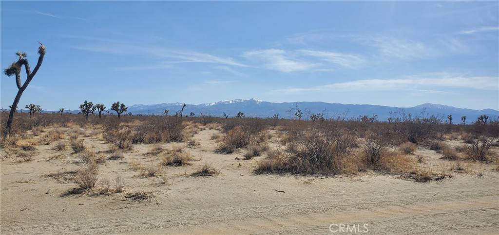 Phelan, CA 92371,20 Acres Holly RD
