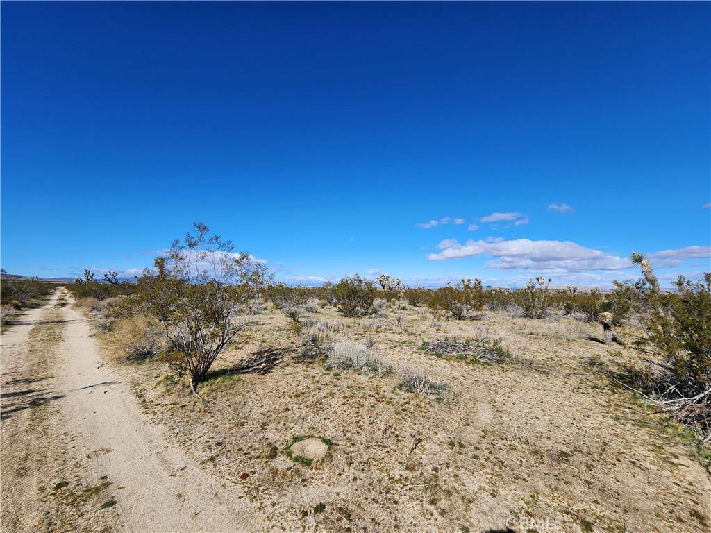Black Butte, CA 93591,0 Vac/Vic Avenue V10/160 Ste
