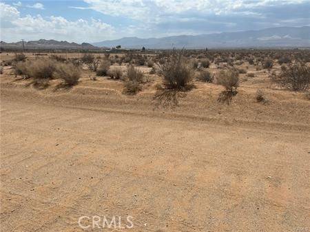 Lucerne Valley, CA 92356,0 Rock Rose