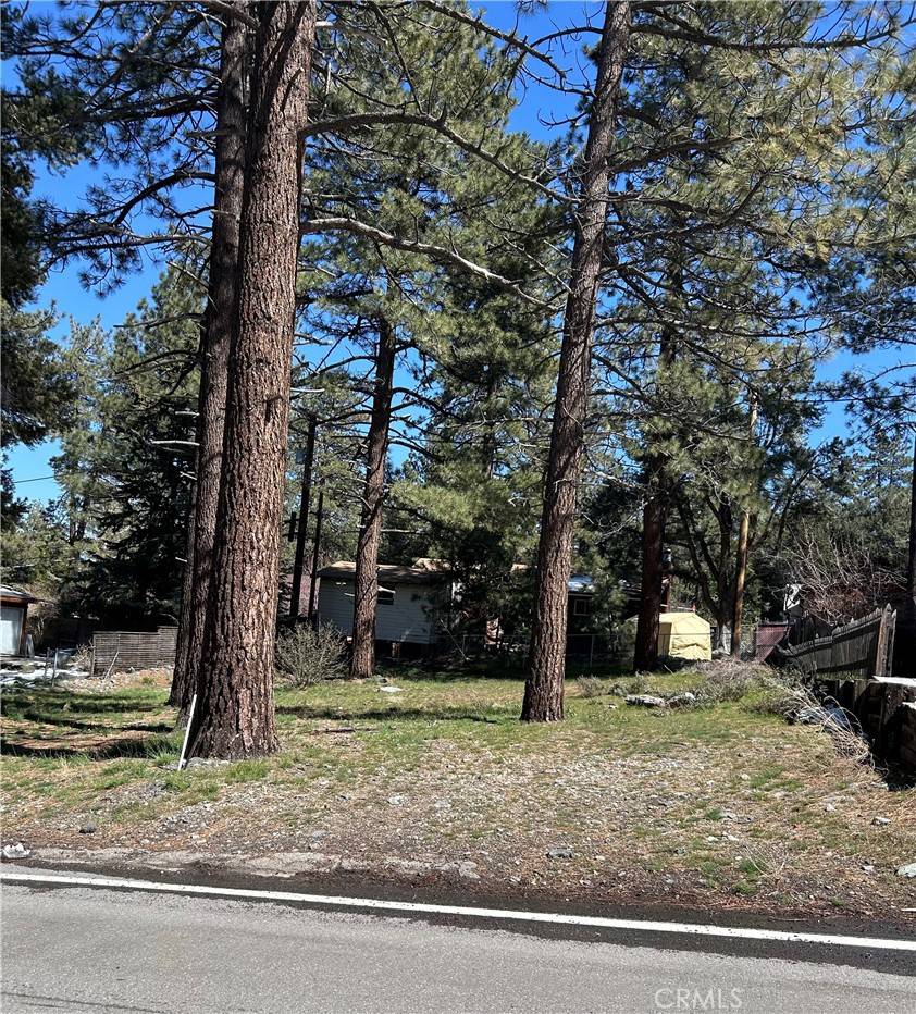 Wrightwood, CA 92397,0 Sheep Creek DR