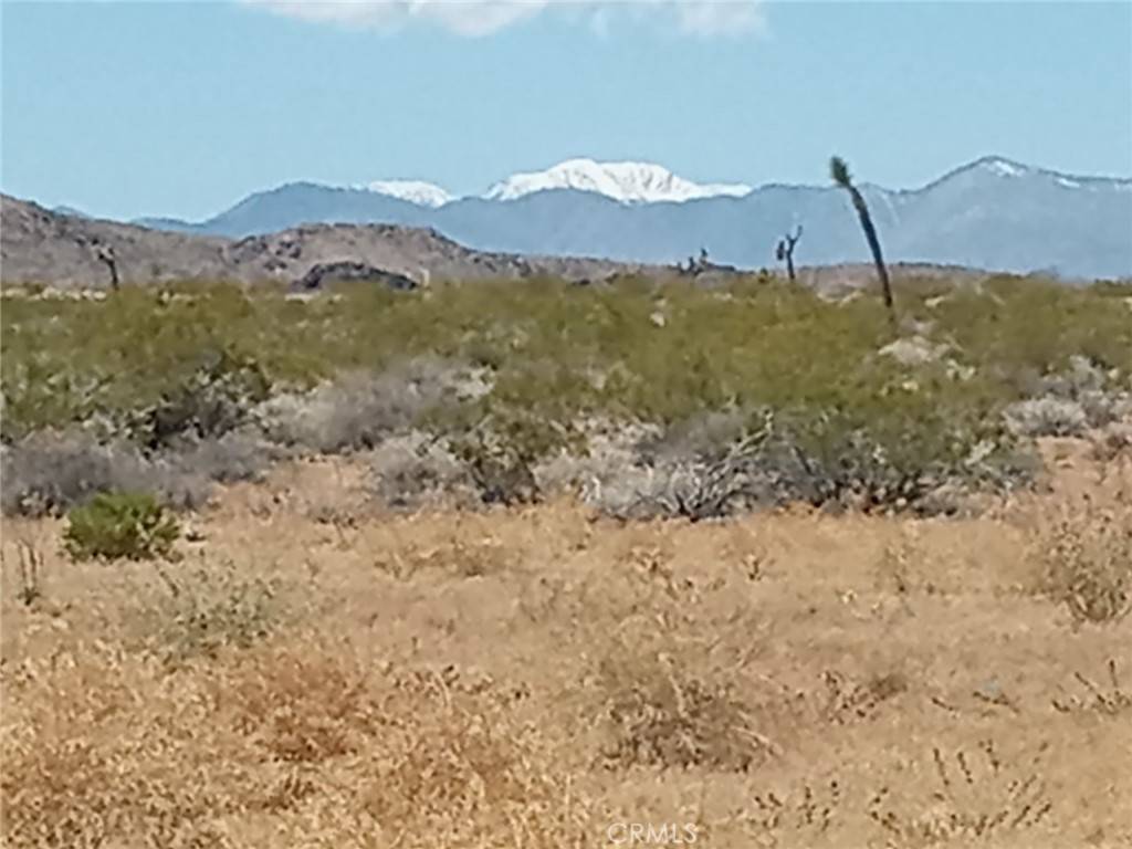 Landers, CA 92285,408 Stable RD