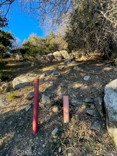 Cedarpines Park, CA 92322,0 Peak CIR