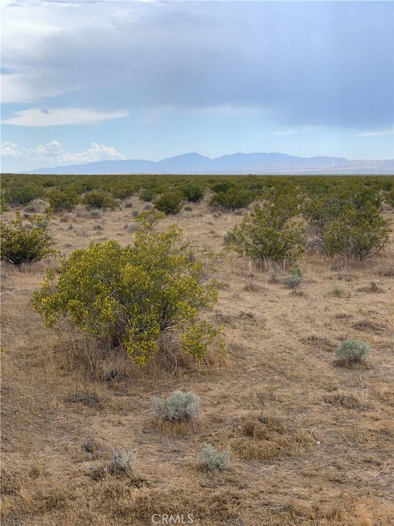 Mojave, CA 93501,0 Maverick St