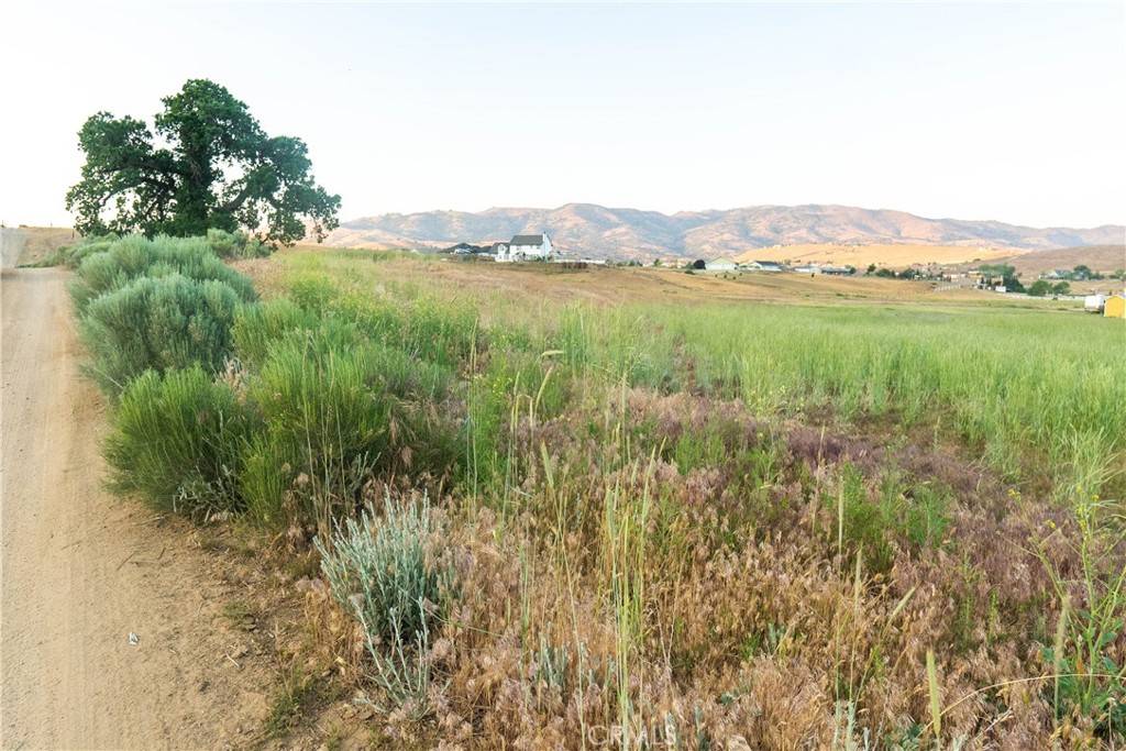 Tehachapi, CA 93561,219 Lot Lupine
