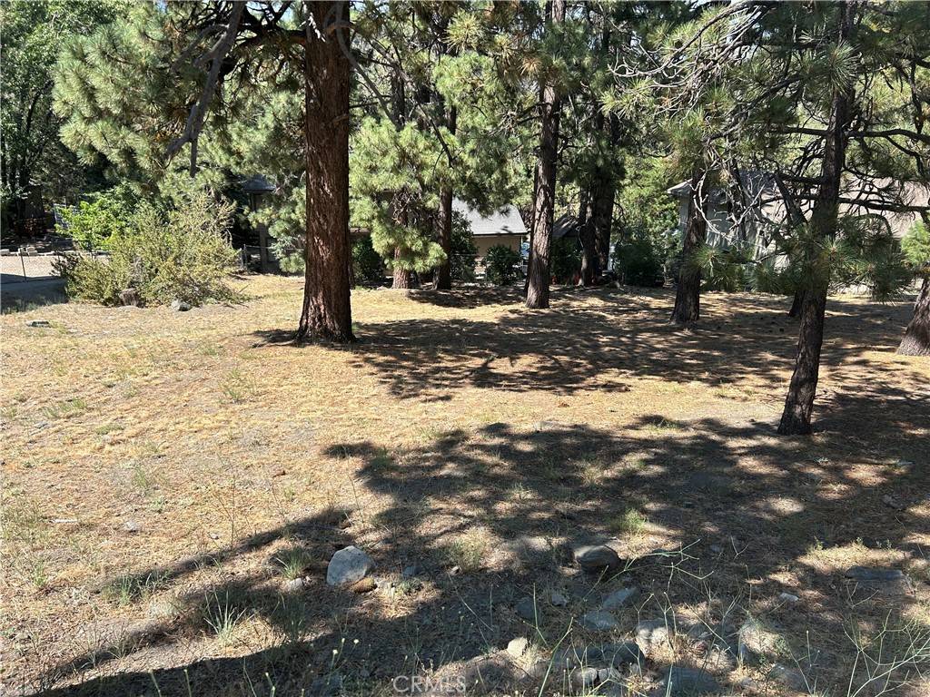Wrightwood, CA 92397,0 Timberline DR