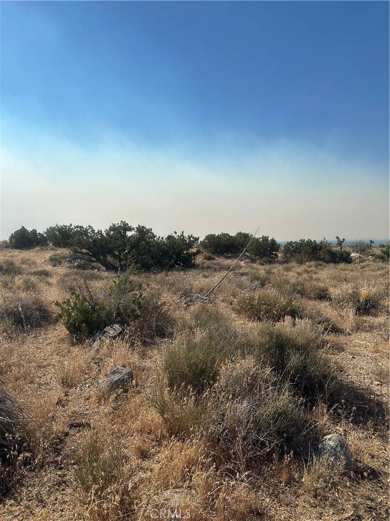 Llano, CA 93544,0 E VIC Ave Z11 260 Ste