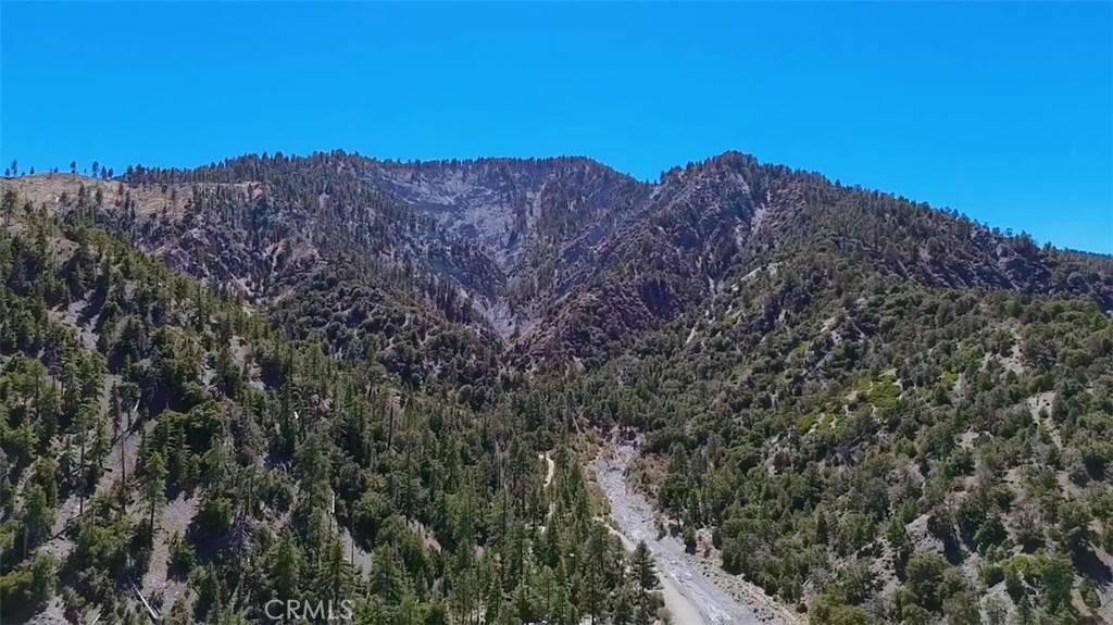 Wrightwood, CA 92397,2071 Mt Mahogany RD