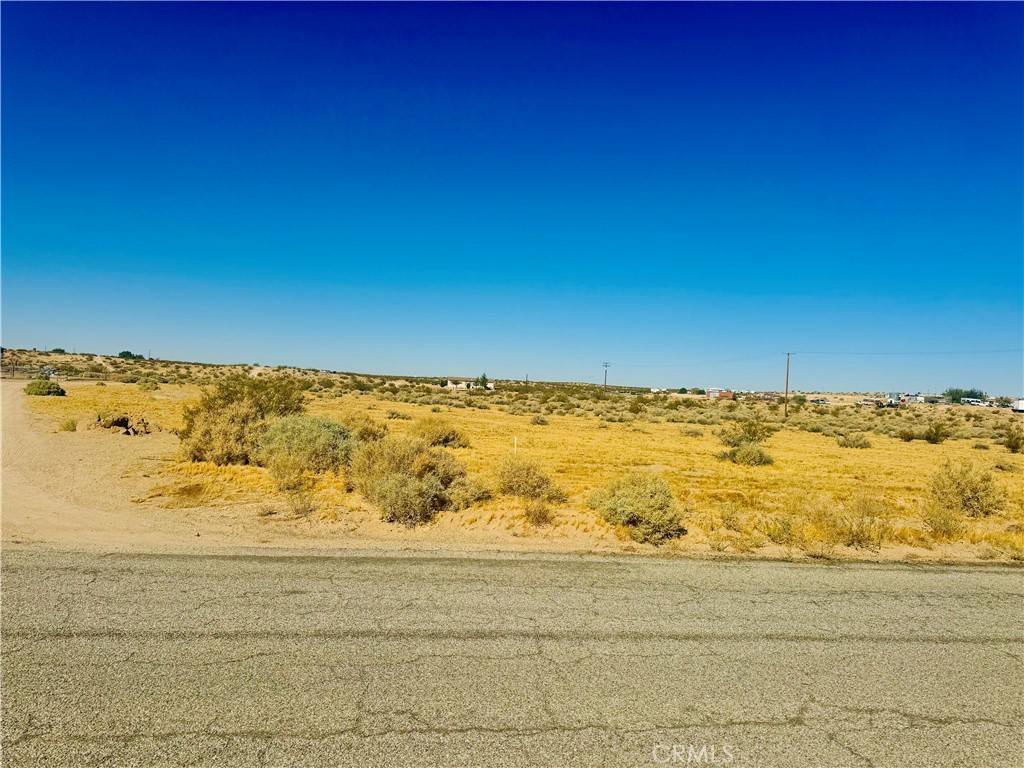 Helendale, CA 92342,0 Rodeo RD