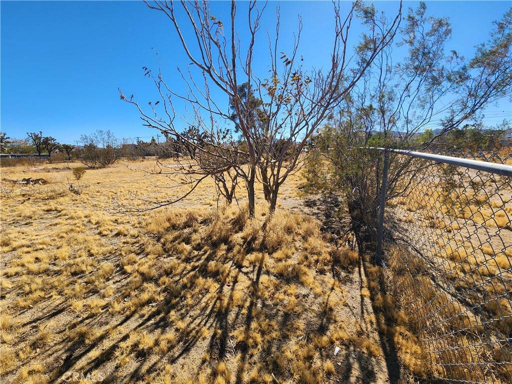 Yucca Valley, CA 92284,56646 Antelope TRL