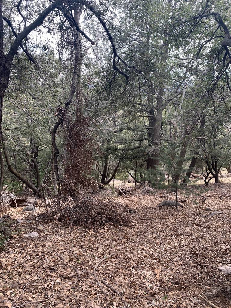 Cedarpines Park, CA 92322,0 Burnt Mill Canyon RD