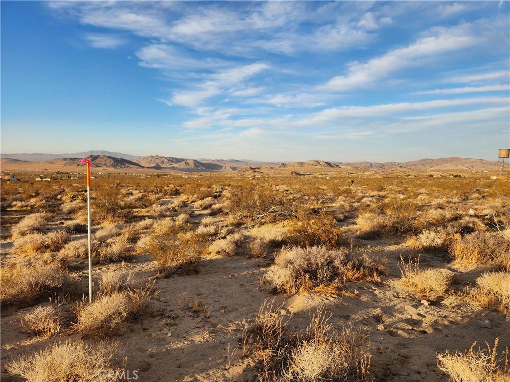 Johnson Valley, CA 92285,52000 Ocotillo RD