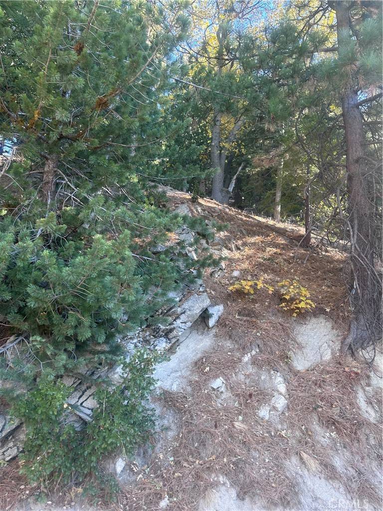Crestline, CA 92325,1 Chillon DR